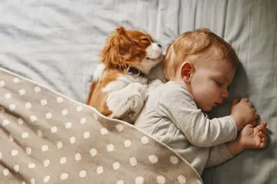 Child sleeping under blanket next to puppy