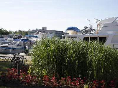 Boats are docked at the Marina; a bicycle and seasonal gardens in the foreground