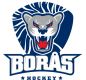 Borås HC