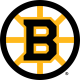 Boston Bruins