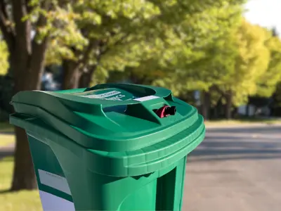 Green bin at the curb of a residential street in summer